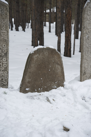 Ancient burial Mongol warriors. Stick out of the ground stone tombs.の写真素材