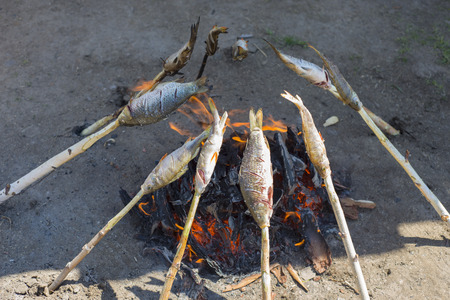 Fresh Baikal fish roasted on the coals. The food of the fisherman.の写真素材
