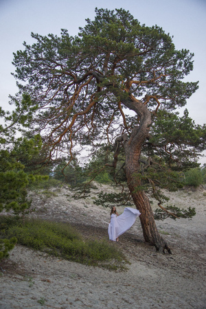 Beautiful young girl in a long white dress, walking under a big tree.の写真素材