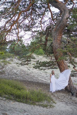 Beautiful young girl in a long white dress, walking under a big tree.の写真素材