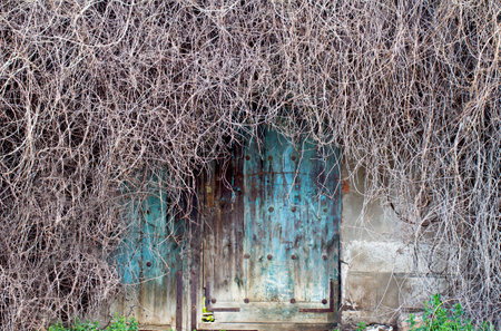 artistic old door surrounded by leafless branchesの写真素材