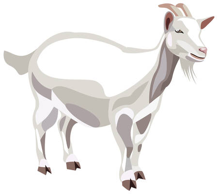 Goatのイラスト素材