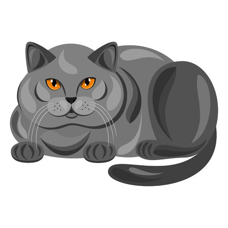 Catのイラスト素材