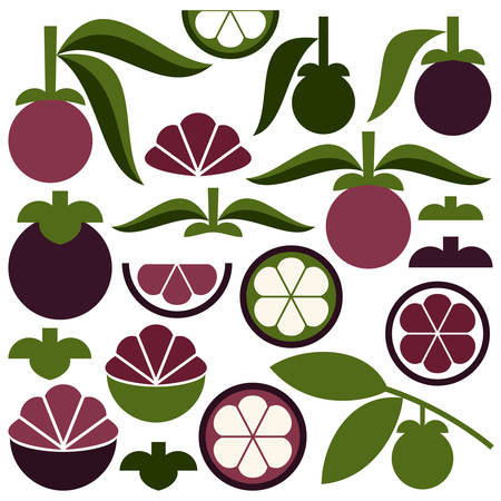 Mangosteenのイラスト素材