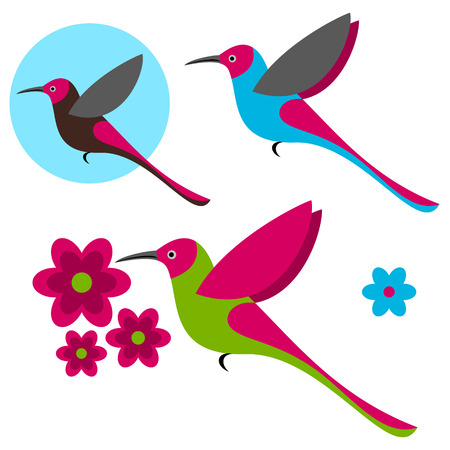 Hummingbirdのイラスト素材