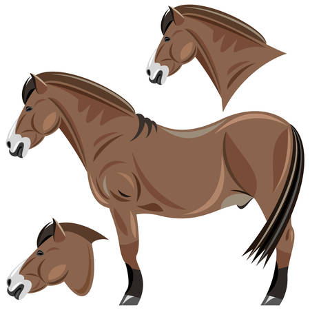 Horseのイラスト素材