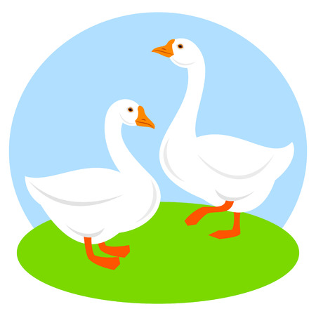 Gooseのイラスト素材