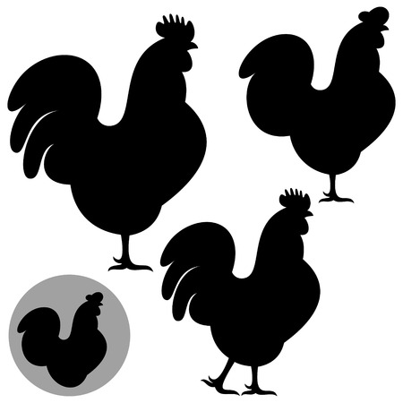 Roosterのイラスト素材