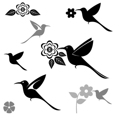 Hummingbirdのイラスト素材