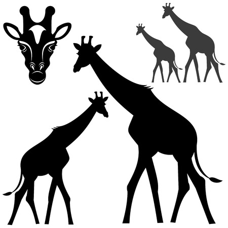 Giraffeのイラスト素材