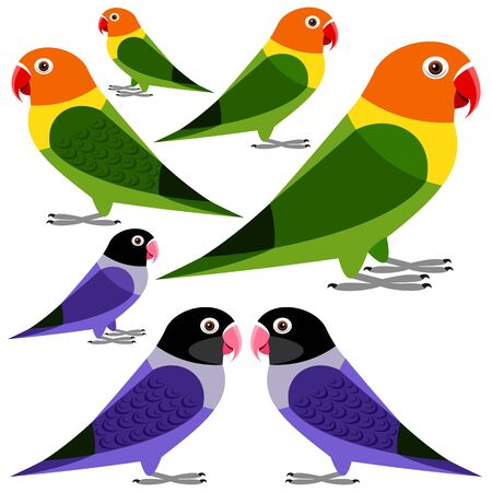 parrotのイラスト素材