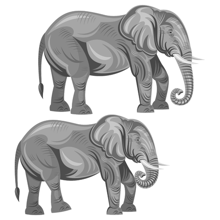 elephantのイラスト素材