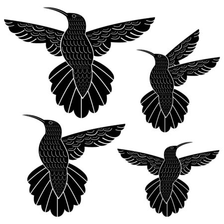 hummingbirdのイラスト素材