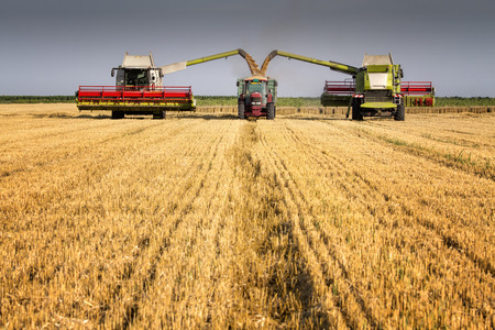 Harvesters loading truck NOTE models are unknown and there are no visible trademarks