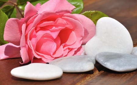 Rose and hearts of white stoneの写真素材