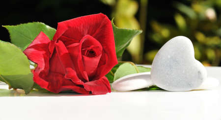 ose and heart of white stone i