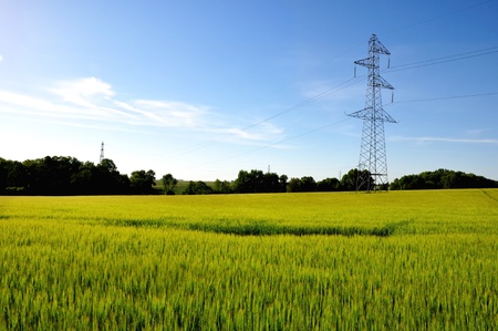 	 Electricity pylon in barley field on a blue skyの写真素材