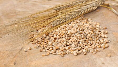 lots of seeds and grains and an earの写真素材