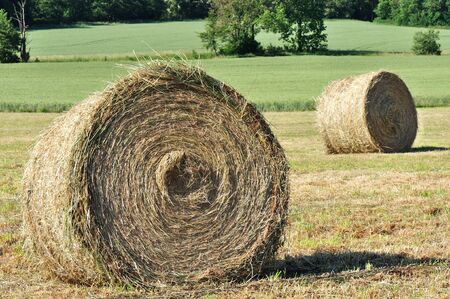 	 Straw bales in a fieldの写真素材