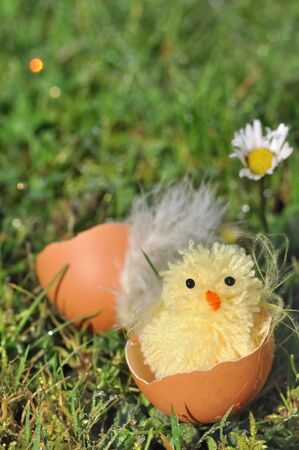 chick figurine in a shell egg laid on the grass