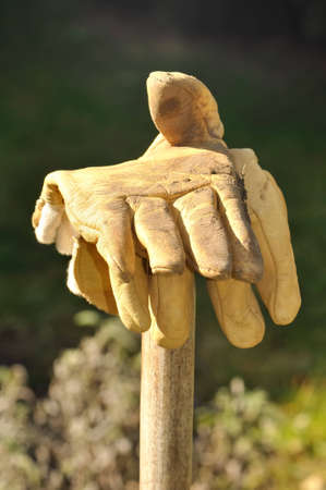 pair of work gloves resting on spade outdoorsの写真素材