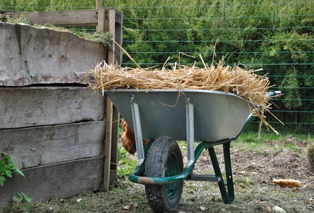 wheelbarrow full of strawの写真素材
