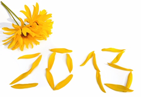 2013 formed by yellow petals on white background