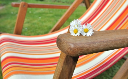 daisies placed on the armrest of a deckchair in the gardenの写真素材