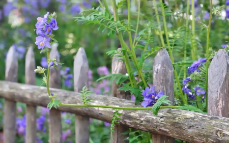 a beautiful ornate wooden fence in countrysideの写真素材