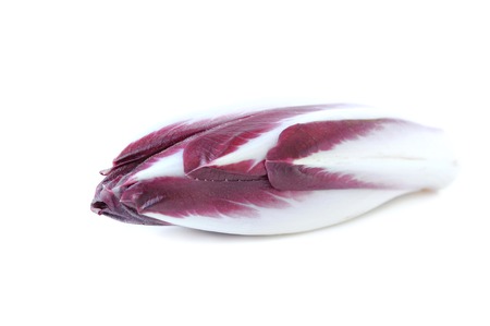 red endive on white backgroundの写真素材