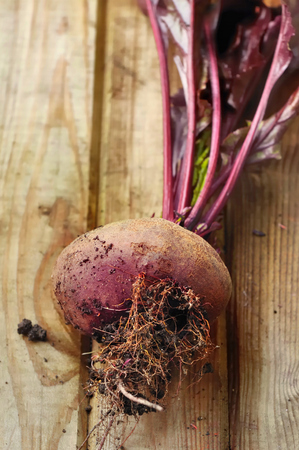 freshly harvested  beetroot on wooden board