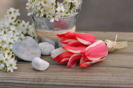 tulips and flowering branch with hearts of stone on wooden background