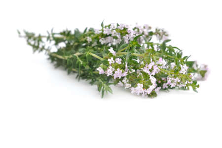 pretty bouquet of thyme flowers on white backgroundの写真素材