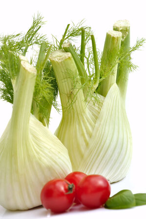 two fennel isolated on white background with cherry tomatoesの写真素材
