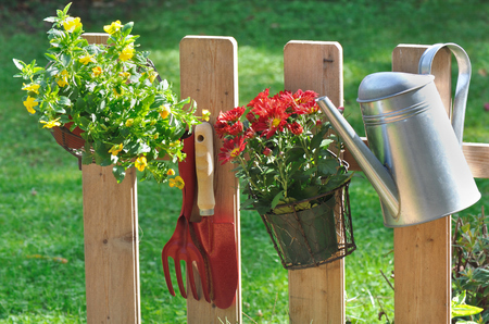 flower pot, watering can and tools hanging on a fence in gardenの写真素材