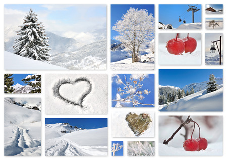 composition of several photos on the theme of vegetation and mountains under the snowの写真素材