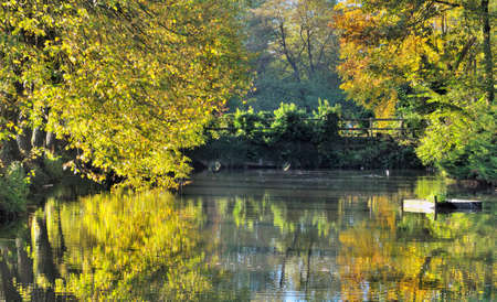 reflection of tree foliage in water in a parkの写真素材