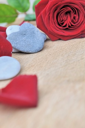 heart shaped pebble and red roses with petals on wooden backgroundの写真素材