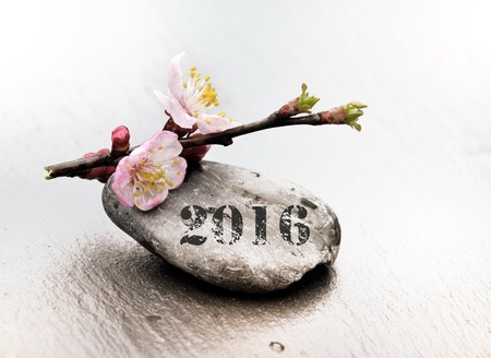 cherry blossoms on pebble with inscription  2016