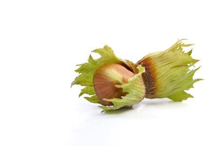fresh hazelnut isolated on white background