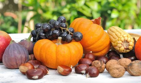 seasonal fruits and little pumpkins on table in garden