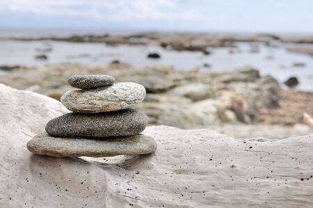 pebbles piled on driftwood on the seafrontの写真素材