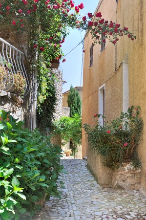 small flowered alley in old village of Balagne -Corseの写真素材