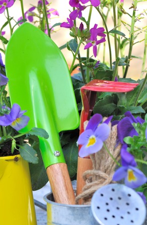 green little shovel on watering can with flowersの写真素材
