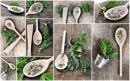 various aromatic herbs on wooden background with spoonの写真素材