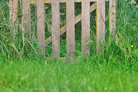 rustic wooden fence in greenery grassの写真素材