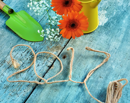 2017 writted with a rope,  flowers and gardening tools on blue wooden background