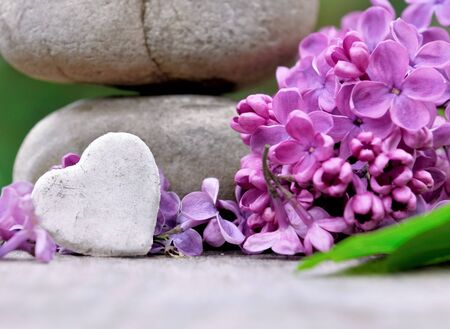 stone heart shaped  among lilac flowers  and pebbles