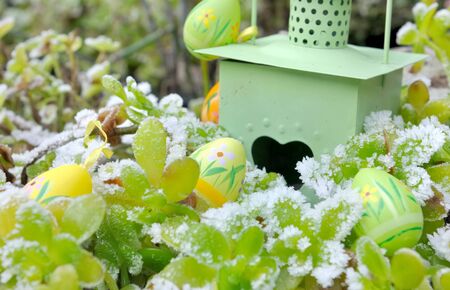 easter eggs among frosted plants in a garden の写真素材
