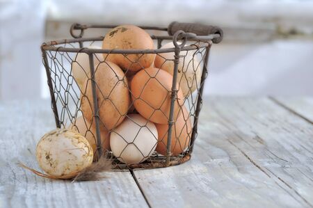 fresh eggs in a metal basket on a tableの写真素材